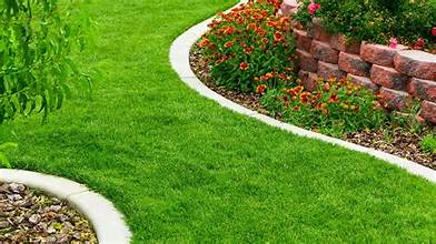 green grass and garden